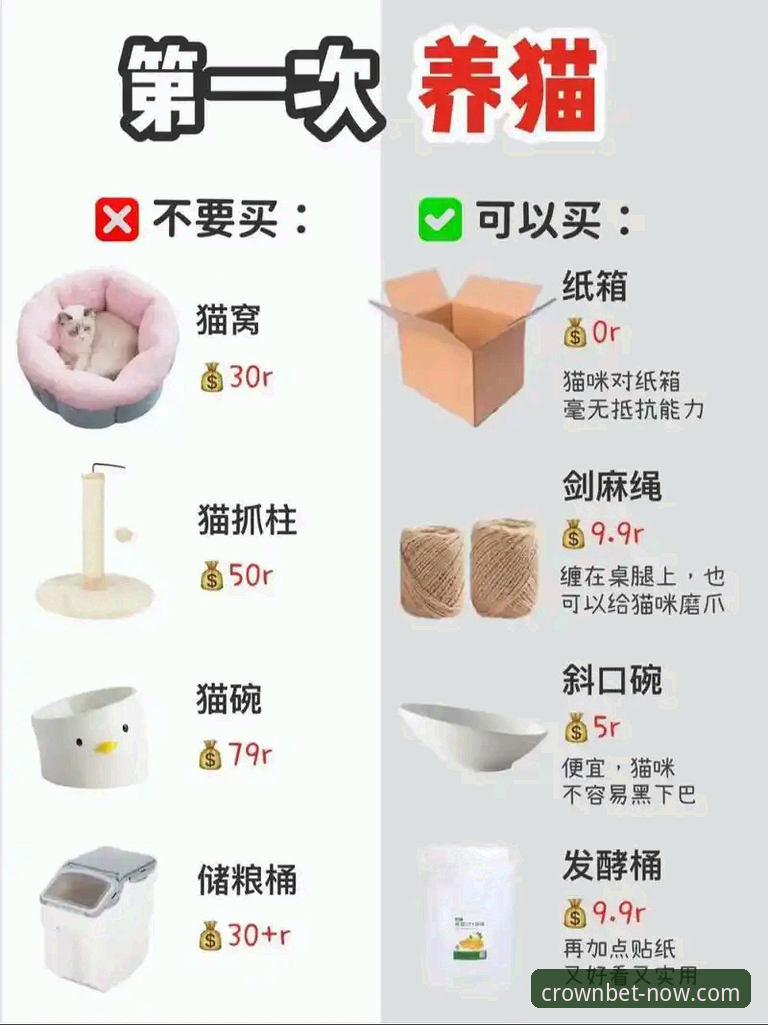 新手必看！皇冠体彩官方下载链接功能详解——资深用户亲测后的使用心得